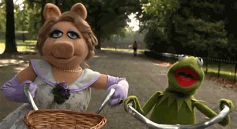 Kermit And Miss Piggy On The Safety Of Wearing A Helmet Kermit 