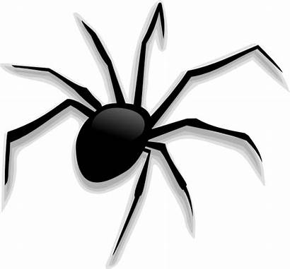 Spider Halloween Clip Clipart Scary Clker Vector