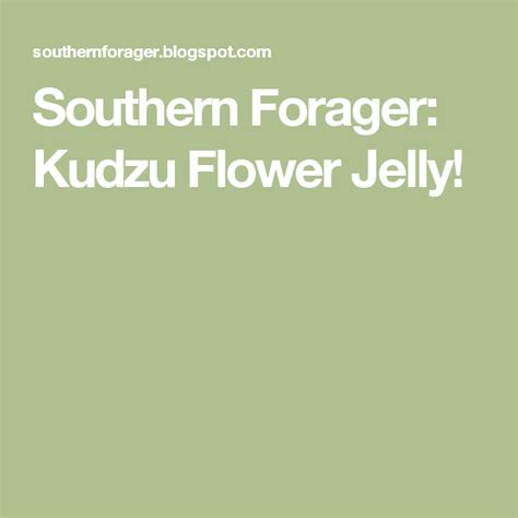 Southern Forager Kudzu Flower Jelly Jelly Flowers Recipes