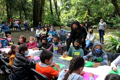 Retoman talleres de educación ambiental en Parque Nacional Notikomentario com