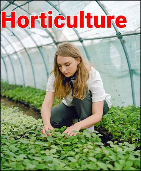 Horticulture Definition Scope And Types
