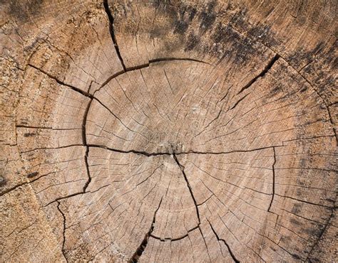 Tranche De Fond Naturel De Bois De Construction En Bois Photo Stock