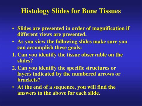 Ppt Histology Slides For Bone Tissues Powerpoint Presentation Free