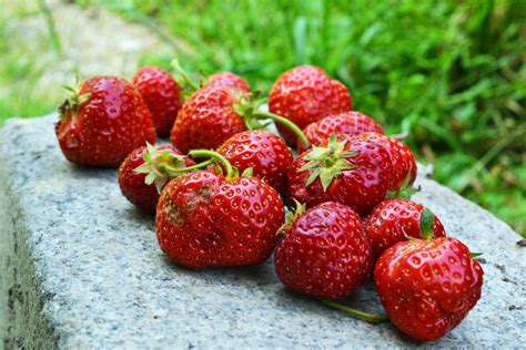 Free Images Fruit Berry Food Produce Fresh Strawberry