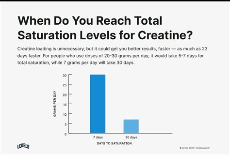 Creatine Loading How To Do It And Is It Necessary Levels