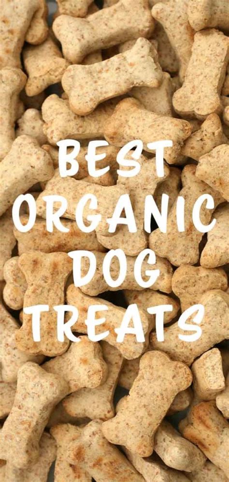 Best Organic Dog Treats Which Brand Is Best For Your Pup