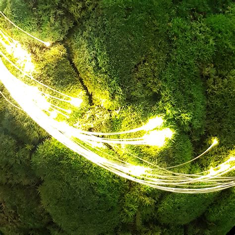 The Light Beam Pours The Light Object From Real Moss
