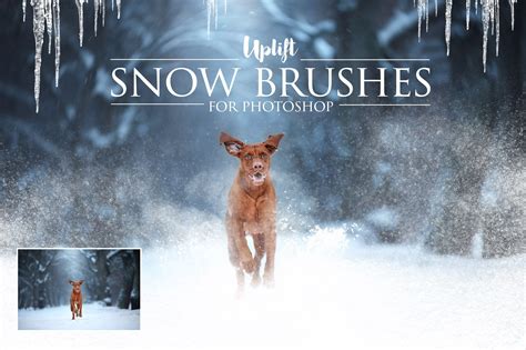 50 more snowflake brushes for photoshop cs+. 25 Snow Brushes for Photoshop ~ Photoshop Add-Ons ...