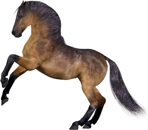 Horse Computer File Transparent Horse Png Clipart Png Download 3829