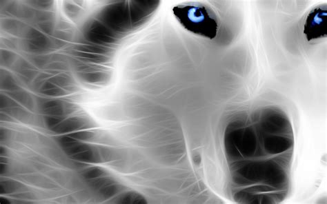 Ice Wolf Wallpaper Awesome 45 Wallpapers Hd