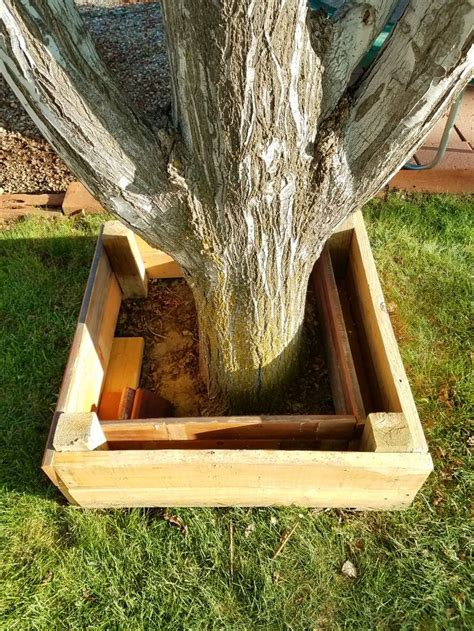 Tree box with two slim raised garden bed inserts making an "L" shape