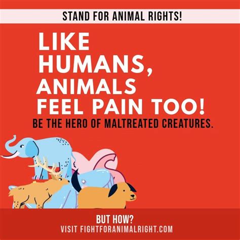 Animal Rights Awareness Instagram Post Animal Protection Poster