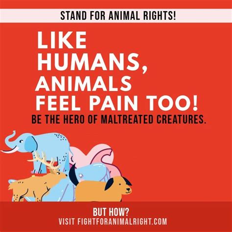Animal Rights Awareness instagram post | Animal protection poster