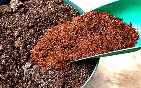 Information about husked coconuts including applications, recipes, nutritional value, taste, seasons, availability, storage, restaurants, cooking, geography and history. What Is Coco Coir and How to Use It In Gardening