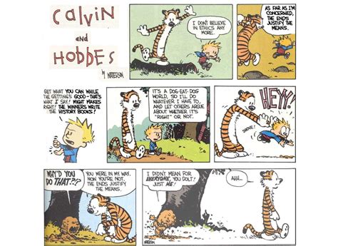 10 Calvin And Hobbes Comics That Sum Up Hobbes As A Character