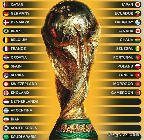 2014世界杯排名榜 争议！世界杯夺冠榜出炉：阿根廷第6，c罗被严重低估，法国仅第二 i体育