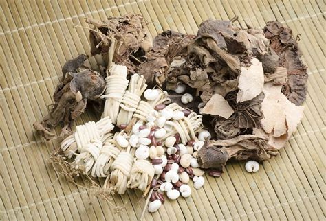 Chinese Medicinal Herbs Stock Image C0144646 Science Photo Library