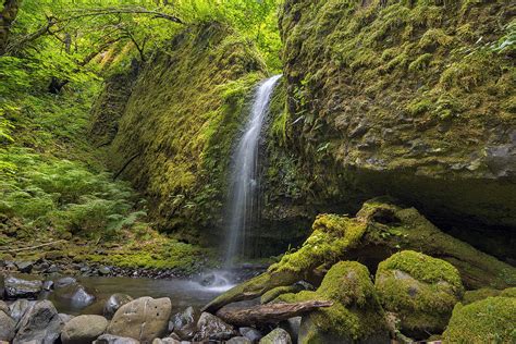 Mossy Grotto Falls In Summer Photograph By David Gn