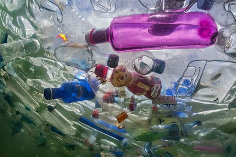 The Ocean Plastics Pollution Solutions Contest National Geographic