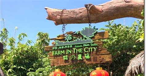 Boleh waze sahaja farm in the city. Harga Tiket Farm In The City, Seri Kembangan | Life 101