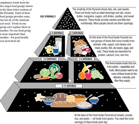 Usda Food Pyramid Poster