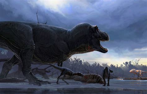 Wallpaper Predator Animals Art T Rex Tyrannosaurus Grin Dinosaurs