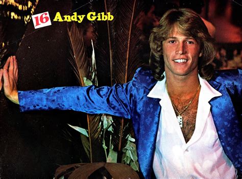 Lansures Music Paraphernalia Andy Gibb Bee Gees