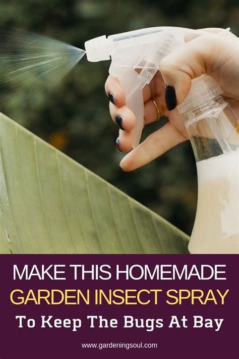 Make This Homemade Garden Insect Spray Gardening Soul