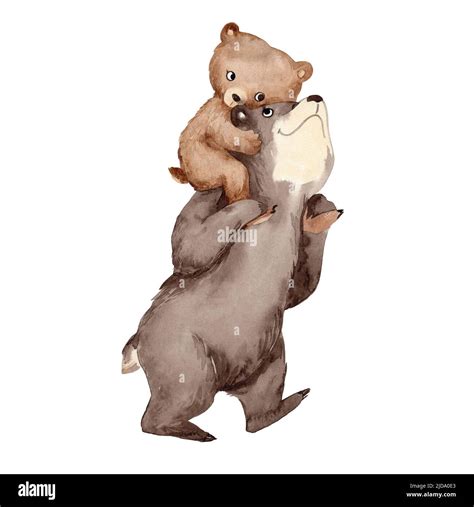 Watercolor Illustration With Brown Father Bear And Little Baby Cub