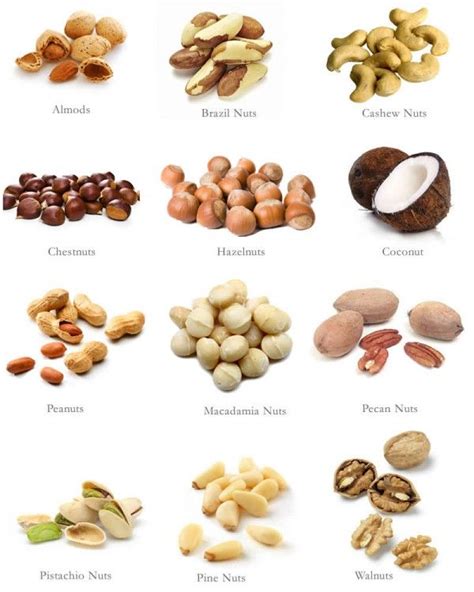 29 Best Treemans Magiced Nuts Images On Pinterest Exotic Fruit
