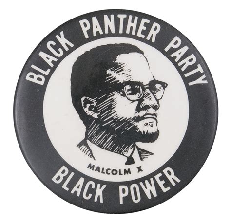 Malcolm X And The Black Panthers