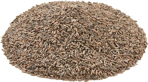 Morning Song Goldfinch Thistle Seed Wild Bird Food 3 Lb Bag