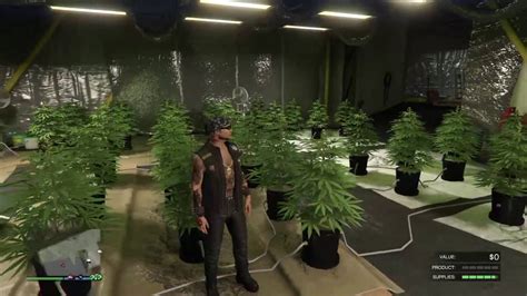 Gta 5 Online Weed Farms How To Sell Weed On Gta 5 Online