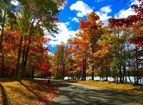 Fall morning at Rockland Lake State Park (NY) | New york state parks, State parks ny, State parks