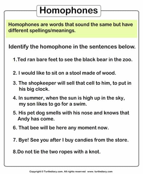 Underline Homophones in each Sentence Worksheet - Turtle Diary