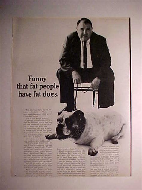 The Fat Dog Site Visuals