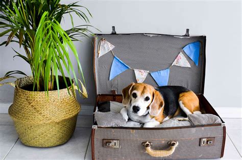 10 Creative Ways To Decorate With Vintage Suitcases