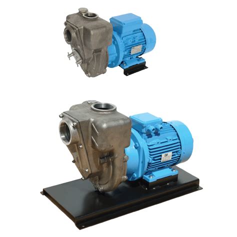 GMP Electric Driven Stainless Steel Pumps - Pumps from pump.co.uk - W