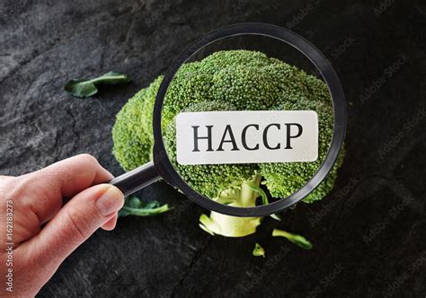 Haccp Food Safety Stock Photo Adobe Stock