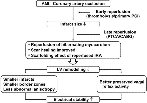 Myocardial Infarction Cardiovascular Medbullets Step