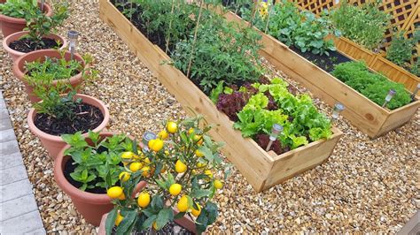 How To Make A Backyard Vegetable Garden
