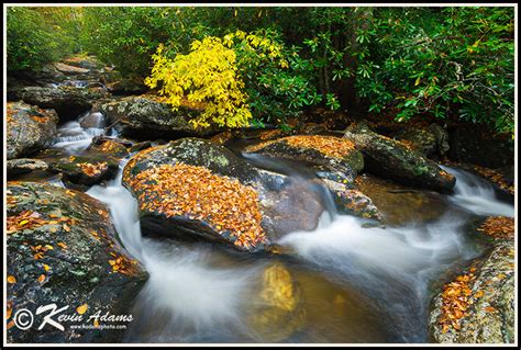 Flat Laurel Creek Pisgah National Forest North Carolina Waterfalls