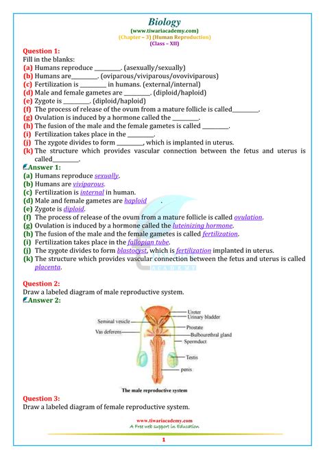 Ncert Solutions For Class 12 Biology Chapter 3 Human Reproduction