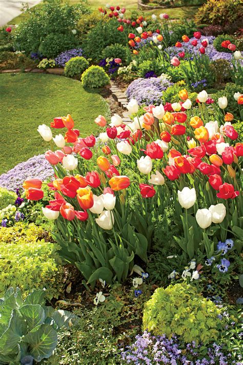 Heres How A Self Taught Gardener Grows Over 800 Tulips