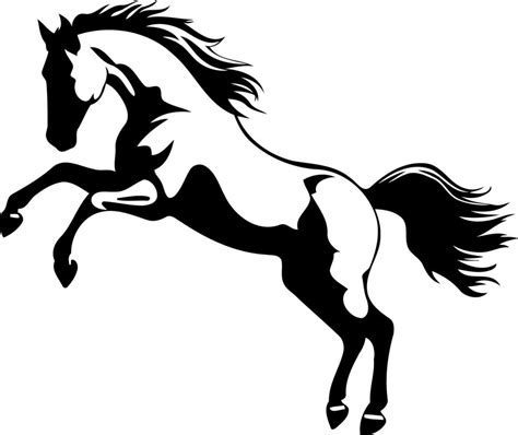 Animal Horse Rearing Black And White Silhouette 23621536 Vector Art At