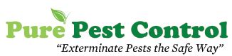 Safeguard pest control have been leading providers of pest control solutions on the sunshine coast since 1989. Pest Control Sunshine Coast | Pure Pest Control