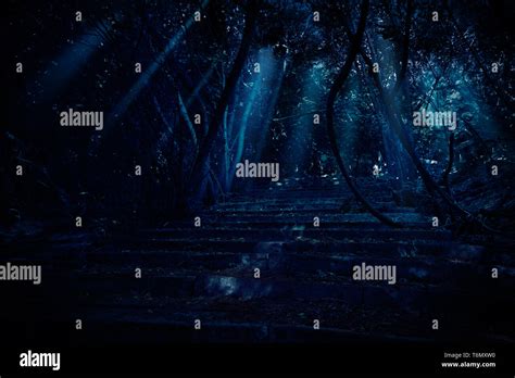 Old Stair In Night Forest Stock Photo Alamy