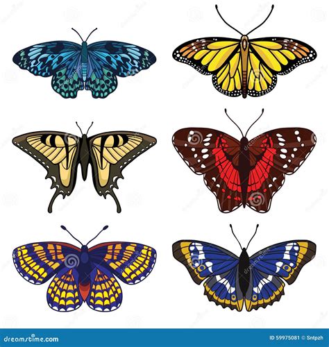 Vector Set With Six Butterflies CartoonDealer Com 59975081