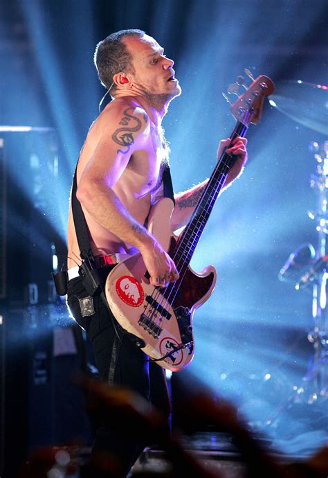 Flea Red Hot Chili Peppers Wiki Fandom Powered By Wikia