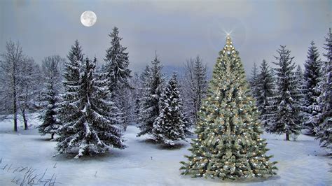 Download Moon Star Snow Forest Christmas Tree Holiday Christmas Hd